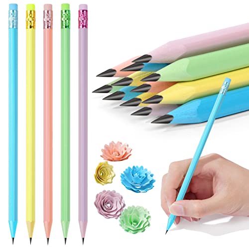 AUAUY 12 Stück HB Bleistifte Set, Mehrfarbig Mit Radiergummi, Aus Holz, Schwarze Mine, Graphitstifte Für Kinder, Studenten, Erwachsene, Schule, Büro, Hochzeit, Party