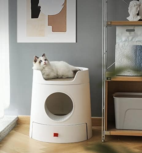 JoyeeLii L gC LXNb`[t ㉺2w L̑ NbVt L{ o̔L LlR̃gC XRbvt  ^L jIC̍Lh~ ̔юUh~ Lpi (zCg)