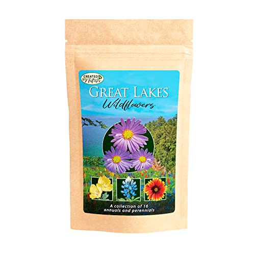 Great Lakes Regional Wildflower Seed Mix Covers 325 Sq Ft 16 Flower Varieties Over 40 000 Seeds - Created By Nature