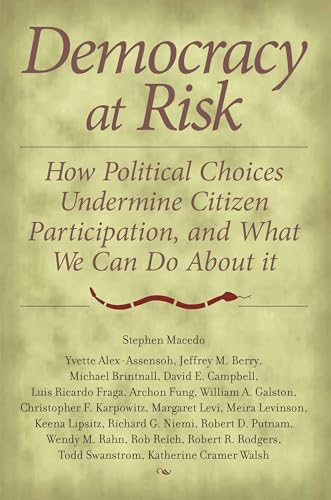 Democracy at Risk: How Political Choices Undermine Citizen Participation, and What We Can Do About It