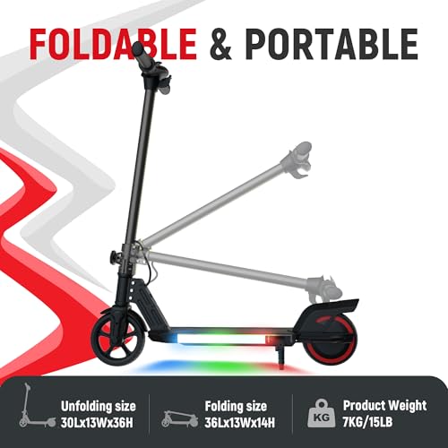 WEELMOTION Black Foldable Electric Scooter