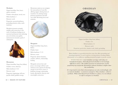 A Practical Guide to Magic in Nature - Image 9