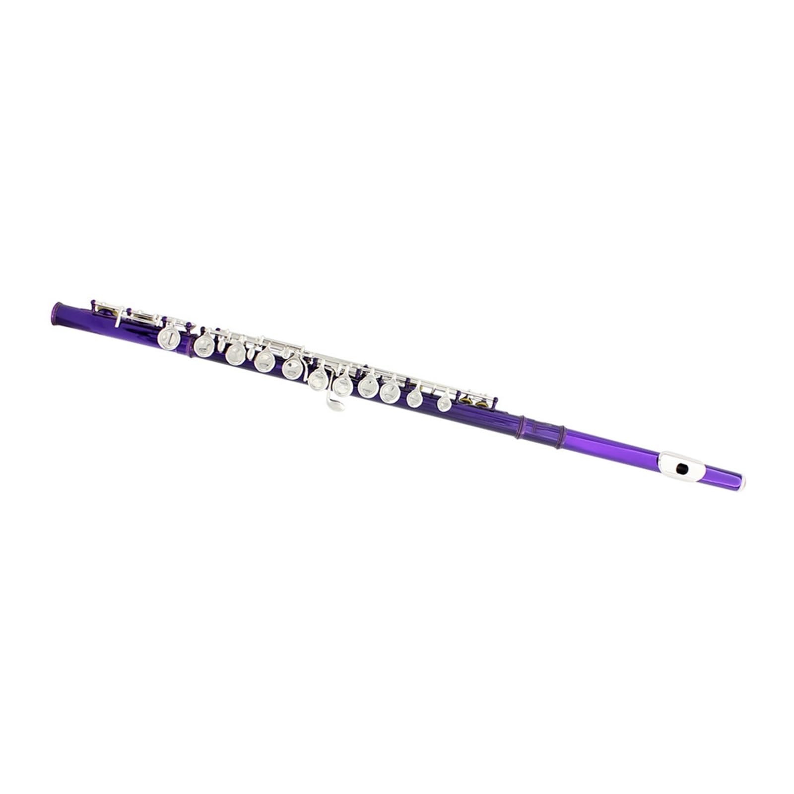 Flauto Flauto viola 16 fori C Tune Flauto con scatola in pelle Borsa per flauto Accessori per strumenti musicali Kit di pulizia