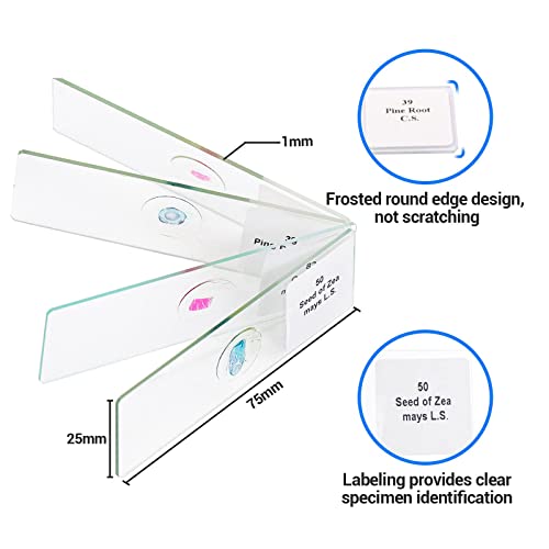 Uscamel RDMT-WS-642 100 Prepared Microscope Slides With Specimens For Kids Adults - Bacterium, Fungus, Human Tissues, Mitosis, Plants, Insects, Animals Cells Samples thumb #4