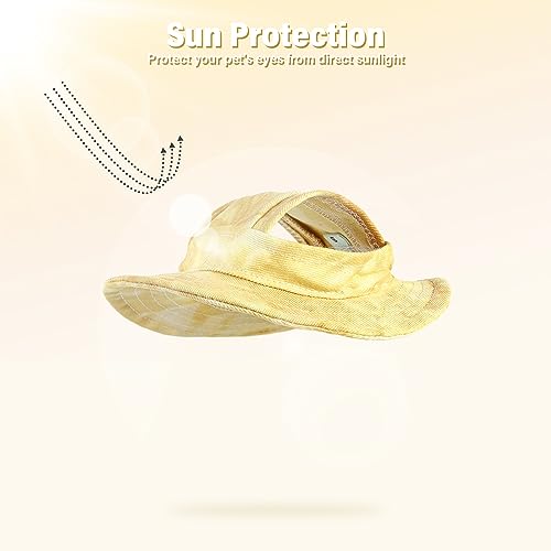 #1 Best Dentrun Cat Bucket - Premium Pet Apparel Set - Image 4
