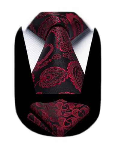 Image of HISDERN Ties for Men Paisley Tie and Pocket Square Woven Classic Floral Mens Ties Handkerchief Set Wedding Party Necktie