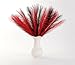 Acfruits Pampas Grass Small Black&Red, 30 Pcs 17