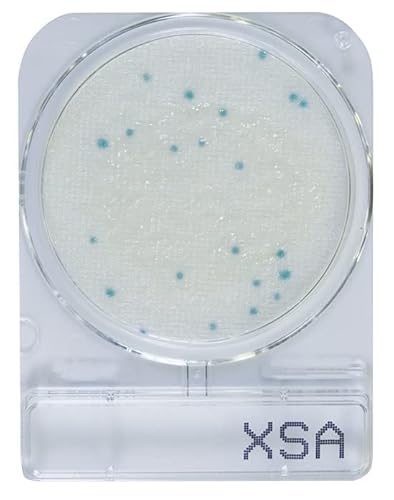 日水製薬 コンパクトドライ X-SA 240枚