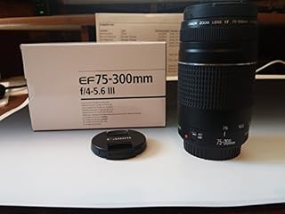 Canon EF 75-300mm f/4-5.6 III Telephoto Zoom Lens for Canon EOS 7D, 60D