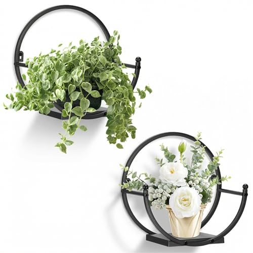 Vercome Decorative Wall Planters for Indoor Plants, Round Wall-Mounted Planter Frame, Space-Saving Wall Decor for Home, Hanging Flower Pot Holder for Indoor/Outdoor Use, 2 Pack