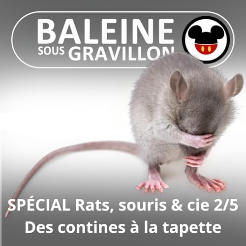 SP&Eacute;CIAL Rats, souris & cie 2/5 : La petite souris, de l'oreiller &agrave; la tapette
