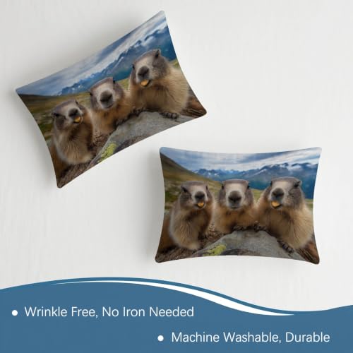 Sábana bajera ajustable de animales 135x200x30 cm de microfibra multicolor para cama doble 7