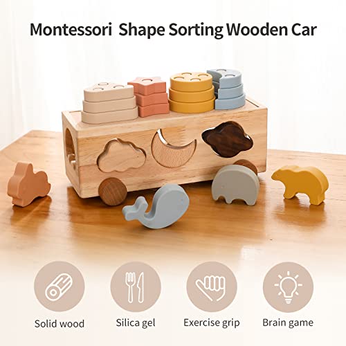 Samonyed Shape Sorter Toys For Toddlers 1-3 Montessori Stack Toy Car For 1 Year Oldbaby Blocks Sorting Wooden&Silicone Educational Car Stacking Toys Montessori Toy1 2 3 Year Old Girls Boys Gifts #TOP1