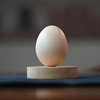 41ixKINCTTL._SS200_.jpg