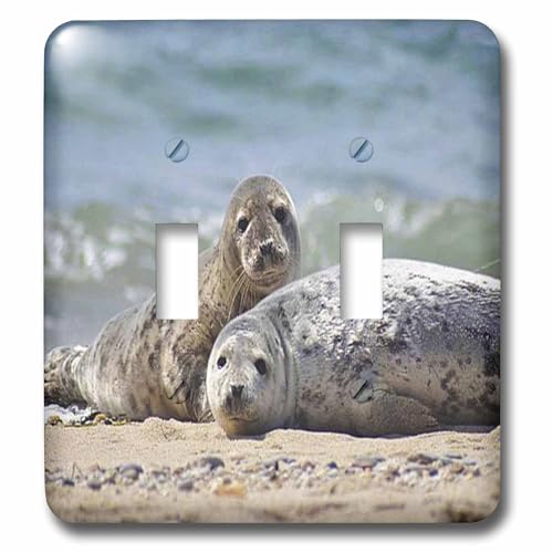 Interrupteur à baïonnette Mom N Dad Seals 3dRose LSP_49331_2 pour décoration murale
