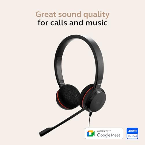 Jabra Evolve 20 Wired Headset (2025 Edition) - Dual-Ear Wired Headset for Office and Work from Home - Call Control - All Platforms - USB-C/A Connectivity - Black by Jabra - Image 3