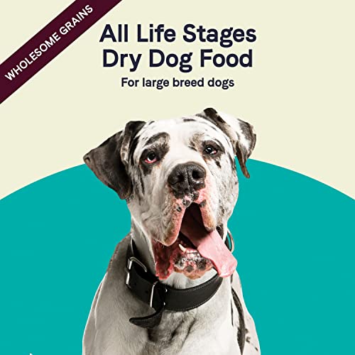 Canidae All Life Stages Premium Dry Dog Food For Large Breeds Of All Ages, Turkey Meal And Brown Rice Formula, 30 Pounds #TOP7