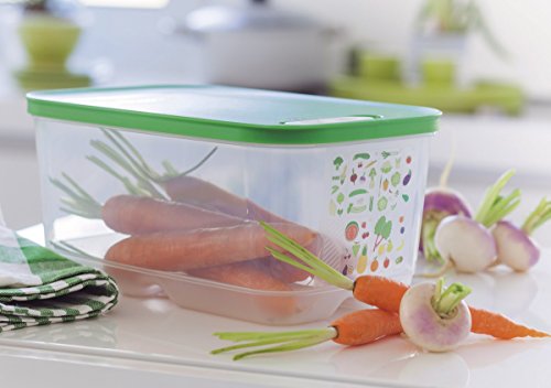 TUPPERWARE Kühlschrank 375ml (6) limette KlimaOase Dose PrimaKlima Klimakönig