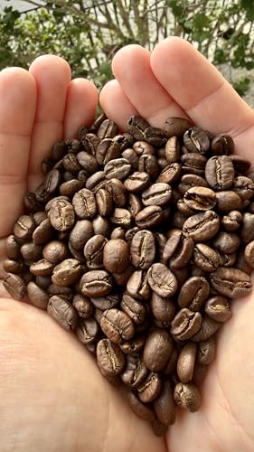 BRAVEPRO Specialty Coffee Beans 12oz – 100% Arabica Medium Roast miniatura 3