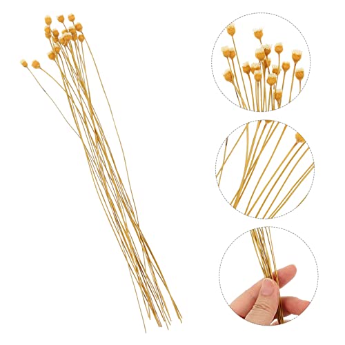 VALICLUD 20pcs Varillas Difusoras Naturales para Aceites miniatura 3