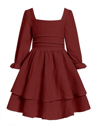 JiAmy Girls Dresses Square Neck Lantern Long Sleeve Ruched Smocked Back Double Layer Ruffle Dress