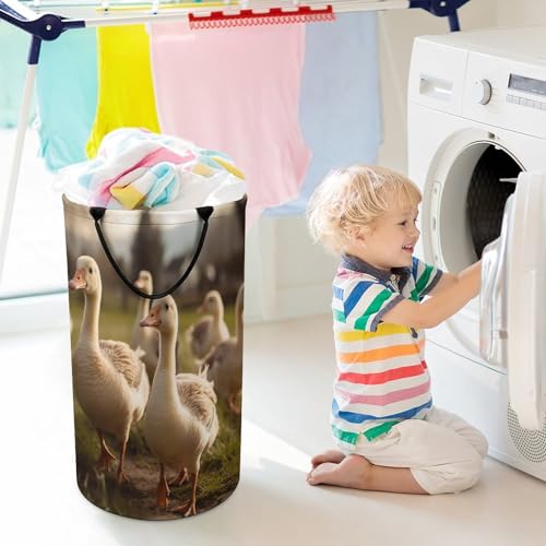 Panier à linge étanche et pliable idéal pour le dortoir universitaire - 7