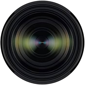 フィルタ付TAMRON 28-200mm F/2.8-5.6Di III RXD Tamron 28-200mm f/2.8-5.6 Di III RXD Lens (Sony E) : Target