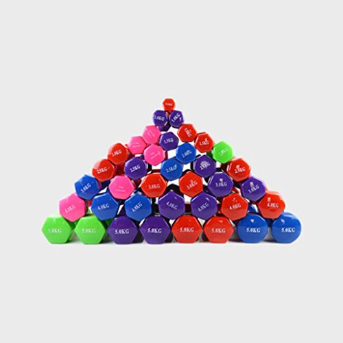Rhegeneshop 1 Pair Plastic Cover Womens Dumbbells Weights Gym Fitness Exercise Total Weight 17.6 Lbs(8.8lbs Each)