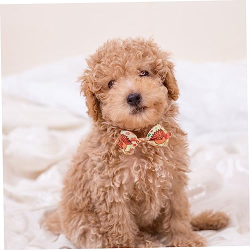 Lazo para perros y gatos sin tirones: accesorios cómodos de festividad 4