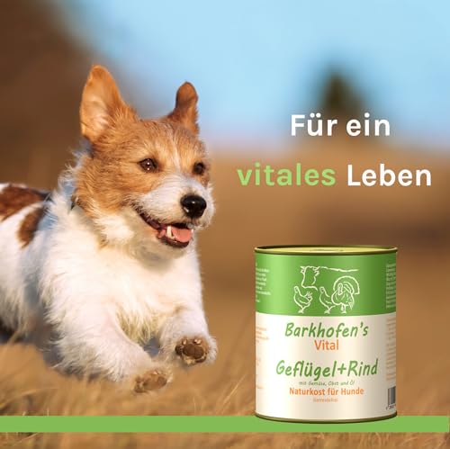 Barkhofen Tiernahrung Nassfutter für Ihren Hund 6X 800g – Hundefutter nass & getreidefrei mit Geflügel & Rind – Hunde Futter in Dosen ohne Getreide