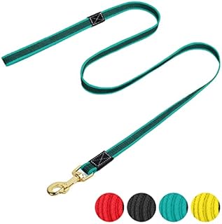 Dog Training Lead, Dog Lead 1.5m/5ft with Metal Hook, Dog Lead Leash for Dog & Puppy Training and Daily Walking (Blue)