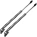 ECCPP Rear Liftgate Lift Support Struts Shocks for 1999-2003 Lexus RX300 Compatible with 6102 Struts Strut Set of 2
