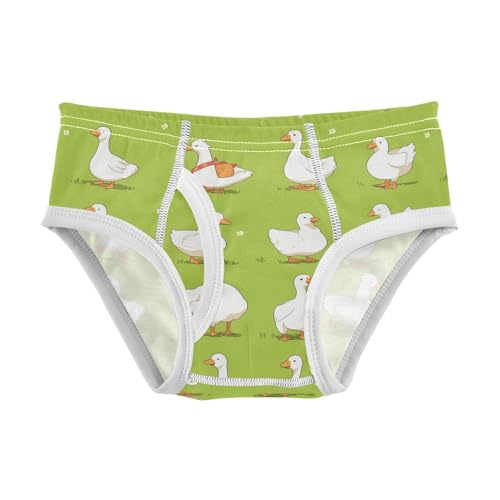 visesunny Boys Potty Training Underwear Cute Cartoon White Goose Breathe Cotton Briefs Size 2T-8Y for Toddler