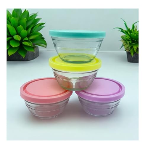 vienberg 4 Stück kleine Glasschalen mit BPA-freiem Deckel | 100% Blei-Frei Glas Aufbewahrungs-Schale, Glasschüssel Glas Schale Bunt | Spülmaschinenfest, 250ml, Vorratsdosen mit Deckeln Glas Dipschale