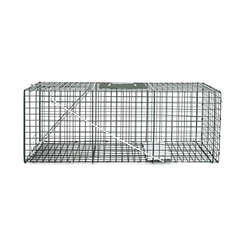 Homestead 32 Inch Live Animal Trap - Specialized For Raccoons, Opossums, Groundhogs, Skunks, Feral Cats, Squirrels - Humane Way Catch & Release Animal Trap #TOP2
