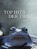 top hits 2010  Top Hits der Tiere