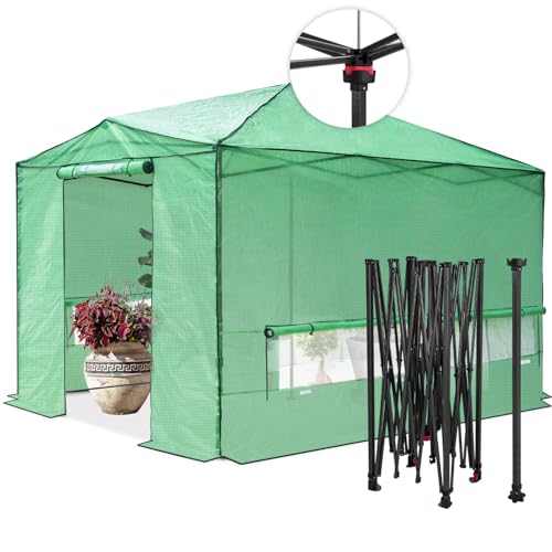 EAGLE PEAK 12x8 Pop-Up
