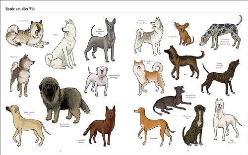 Große Hunde, kleine Hunde: Alle Hunde dieser Welt. Über 250 Hunderassen aus aller Welt