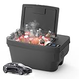 CHERY INDUSTRIAL.COM Tesla Cooler Car Refrigerator 12 Volt...