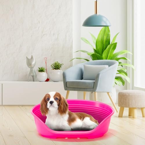 Ferplast Hundebett Katzenbett Kunststoff-Hundebett Medium Hundeliege waschbar Hundekorb atmungsaktiv rutschfest Siesta Deluxe, 62 x 41 x h 23,5 cm, Rose