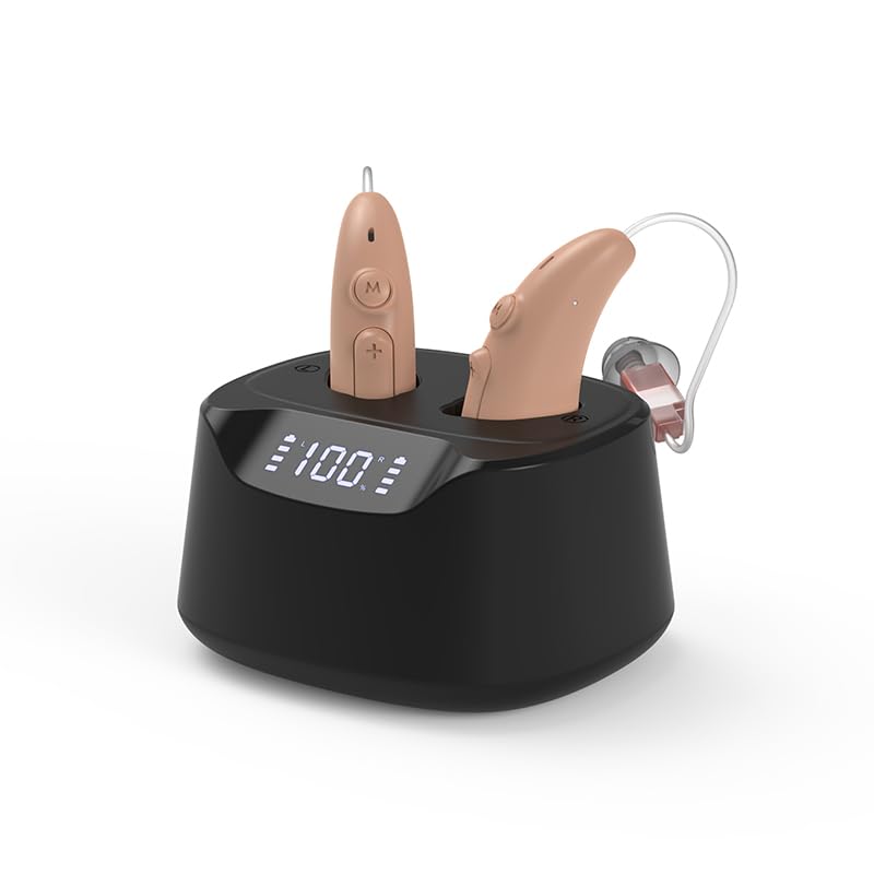 B501 Hearing aid