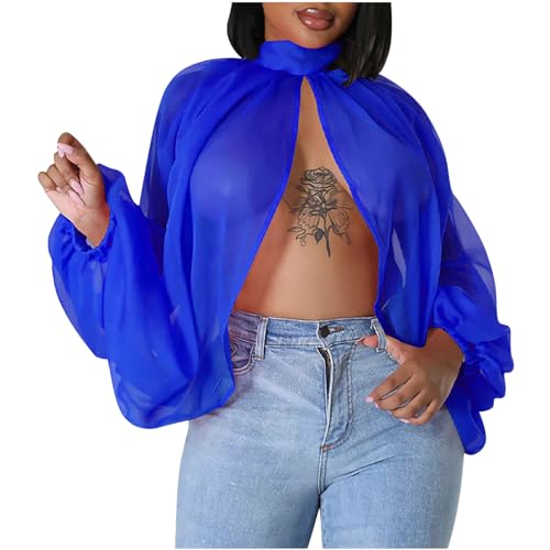 Womens Sexy See-Through Chiffon Sheer Lantern Sleeve Front Back