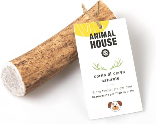 Animal House 100% Deer Antler for Dogs to Chew Toy Bone Natural to Keep Teeth and Gums Healthy and Clean for All Sizes (M)