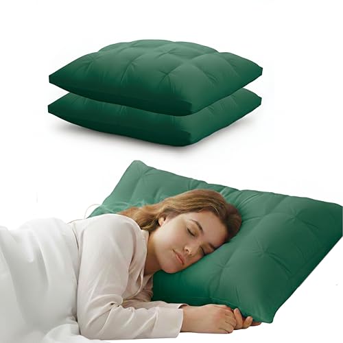 Image of Luxury Hotel Bed Pillow Set of 2, Premium Microfiber Filling, Jacquard Fabric, Concealed Zipper, Breathable Washable Cover, Green Comfort Bedding Cushion Soft, 68 x 45 x 25 cm