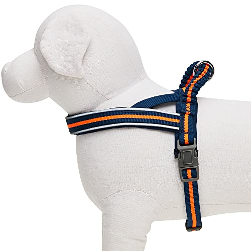 Umi. Essential Reflective Multi-colored Stripe