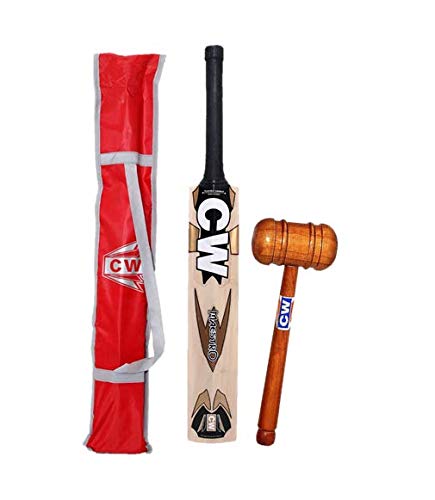 Batte de cricket en saule CW Maestro manche court pour maîtriser les balles en cuir