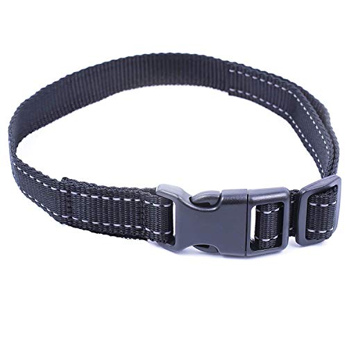 PetKing Premium Correa de Repuesto