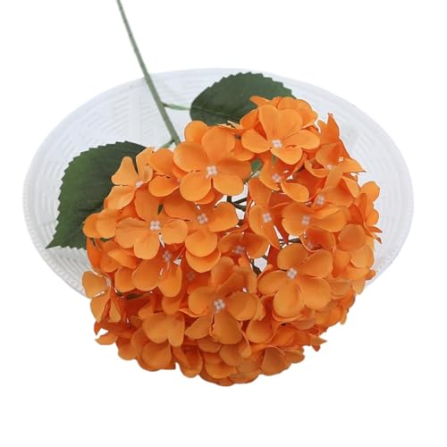 lHAWTC̉ԁBUVϐ̂tFCNAWTC̑BȎpBAȃVNt[AWgBԕrA|[`AAe[ũZ^[s[XɁB(Color9,15)