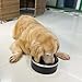 LIHOOOOM Stainless Steel Dog Bowl, Metal Water and Food Dish for Large Dogs, Insulated Non-Slip Pet Bowl, Easy Clean, 64oz, Black