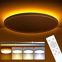 Amazon.co.jp : Sakura シーリングライト 和風のシンプルで